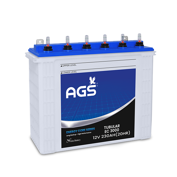 ags ec 3000